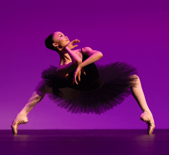 Image of PressPlay directors